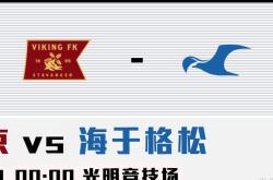 开云体育app-瑞士队北决赛：胜利在望，欧洲预选赛八强赛悬念重重的简单介绍