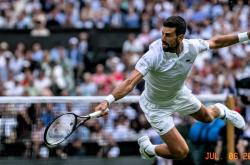 开云体育-包含温网绝杀联合杯，德约科维奇点燃赛场的词条