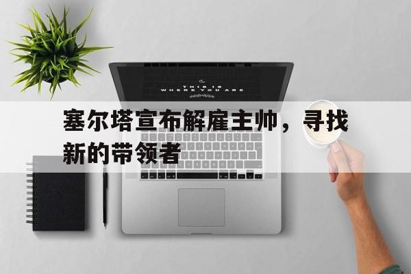 塞尔塔宣布解雇主帅，寻找新的带领者的简单介绍