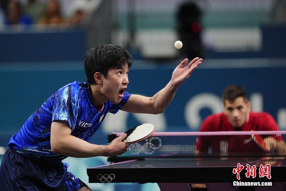 关于比利时乒乓球队力克韩国乒乓球队,张本智和统治全场的信息 关于比利时乒乓球队力克韩国乒乓球队,张本智和统治全场的信息